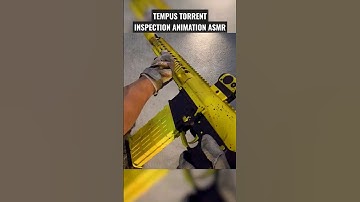 TEMPUS TORRENT Marksman Rifle - INSPECTION ANIMATION ASMR - Call of Duty Modern Warfare 2 - 1080p