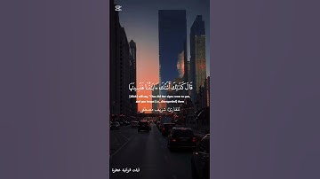 تلاوة من سورة طه بصوت شريف مصطفى