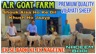 Premium Quality Vilayati Mende at A.R GOAT FARM in Kalyan#youtubevideos @msqvlogs5186 @asifstd3575