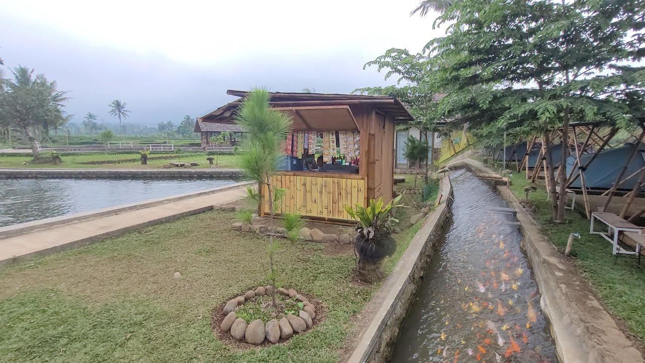 Bikin Takjub 😍 Melihat Kolam Ikan Irigasi, Air Bersih Berlimpah Di Tengah Alam Yang Indah