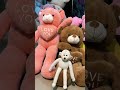 Teddy Bears Shorts Cute Big Beautiful Soft Toys By V2 TeddyBears Teddy Toys Stuffedanimals Toy