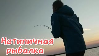 Нетипичная рыбалка