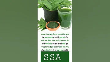 Neem Ke Patton Ka Juice Peene Se Fayda Shri Shyam Ayurveda 