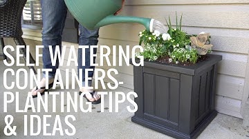 Self Watering Containers  Planting Tip & Ideas