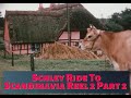 “SCHLEY RIDE TO SCANDINAVIA” 1960s TRIP FROM COPENHAGEN, DENMARK TO VEJLE  TRAVELOGUE R2 P2 XD50464