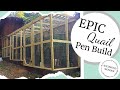 Epic Quail Pen now on the homestead!