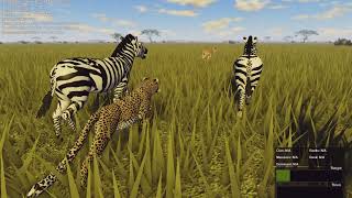 Leopard Hunts Zebra Herd! | Roblox Wild Savannah.