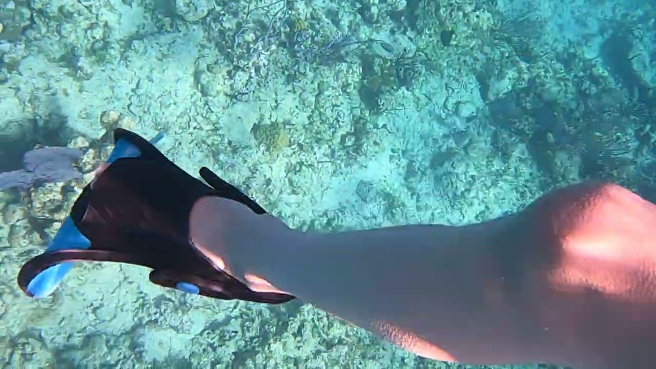 Disney’s Lookout Cay Snorkeling Fun