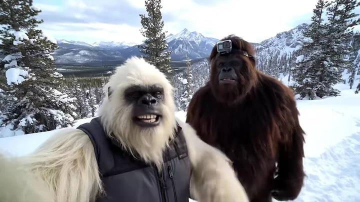 25 Minutes of Bigfoot and Yeti Camping in the Wild