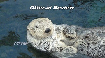 🦦 Otter.ai Audio-To-Text Transcription App Review