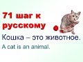 Собака - это не человек.  Русский как иностранный. 71 шаг к русскому языку 10 урок