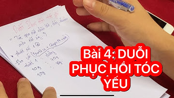 BÀI 4: DUỖI PHỤC HỒI TÓC YẾU HƯ TỔN NẶNG/ NGỌC TÓC