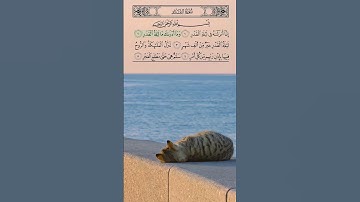 ماهر المعيقلي سورة القدر  #المصحف  #ماهر_المعيقلي #قرآن #سوره_القدر #ليلة_القدر #رمضان