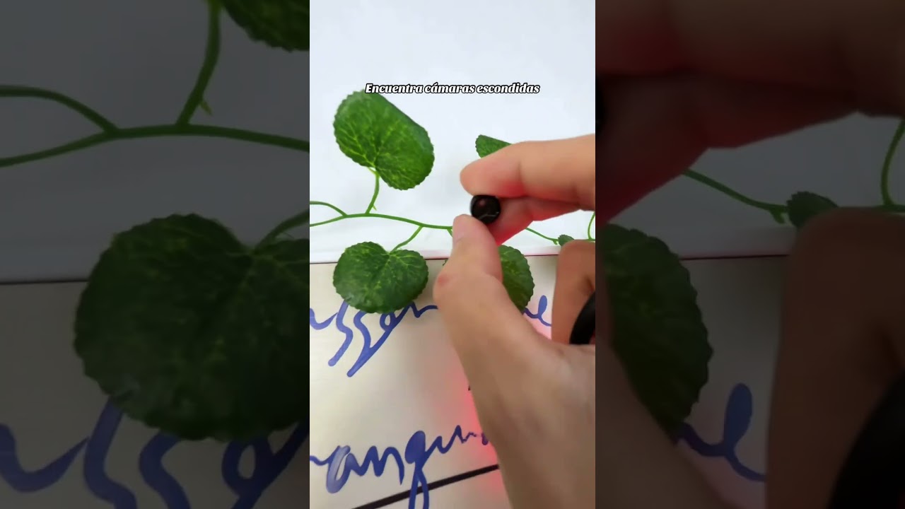 Anti-Spy Camera Detector & Hidden Insect Detector