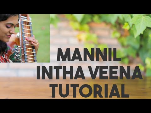  45 Mannil indha  materani  Carnatic swaram  veena tutorial   ranjanisnotes   tributetospb