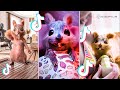 Egofilm tiktok bestof  tiktoks most famous squirrel tiktok compilation 