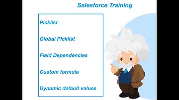 SFDC Training 5 - Picklist,Global Picklist,Field Dependencies,Custom formula,dynamic default values