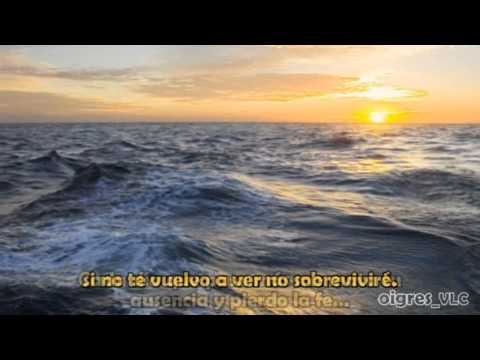 Luis Fonsi Quisiera Poder Olvidarme De Tí Con Letra