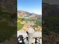 東北３泊４日vlog🚶‍♂️📸