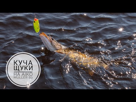 Видео с рыбалки content media
