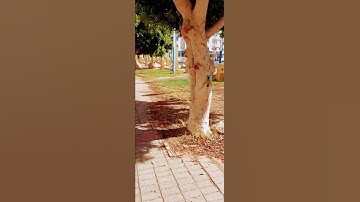 تلاوة هادئة من سورة الحج | القارئ | القرآن الكريم | #قرآن #كريم