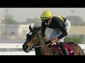 RM 37  Al Rayyan Race 3 -  Khor Al Adaid Cup
