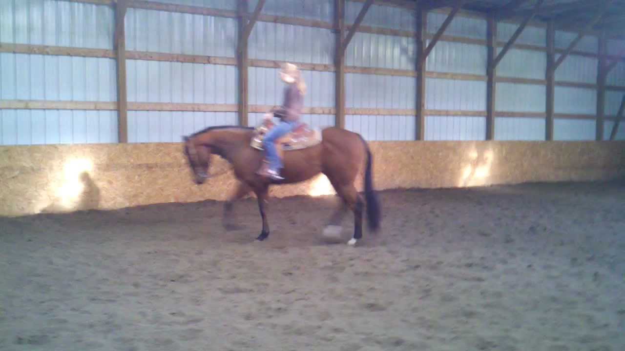 Stars Impress Me AQHA/APHA YouTube