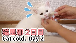 風邪をひいたポムさん ２日目