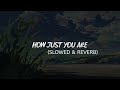 How just you are slowed  reverb  nasheed  muhammad al muqit