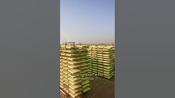 The high yield egg tray machine adopts environment #machine #factoryproducts #factory #eggtray