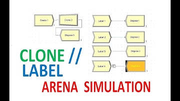 Clone Label Arena Simulation Clone Entities