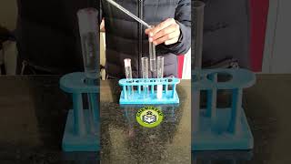 Test for Halides #shorts #viralshorts #chemistry #experiment