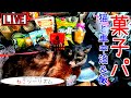 【猫と車中泊＆飯】お菓子で酒盛り