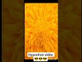 Hypnotize video #illusion #shortfeed #shortvideo #treading