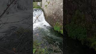 Meixomil - Paços de Ferreira - Porto