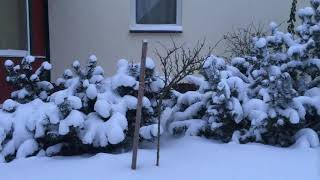 Styczniowe Popołudnie W Monasterze
