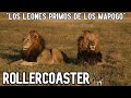 ROLLERCOASTER | RETARON a MR.T y COLA TORCIDA