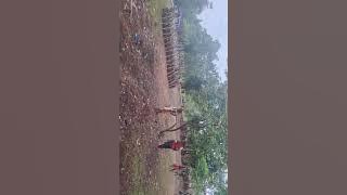 Perang Pihak Newegalen Kwamki narama,08 November 2025 Papua Tengah