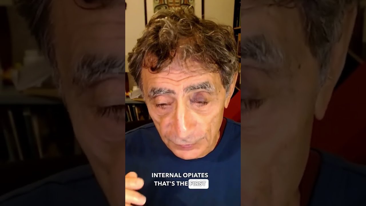 How Do Opiates Impact Our Brains Shorts
