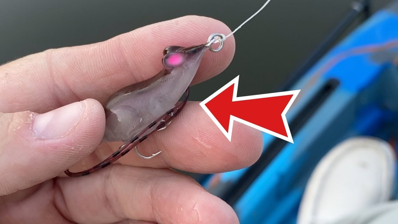 Watch Unbelievable BFS Fishing with the World's Tiniest Mouse Lure! Video  on