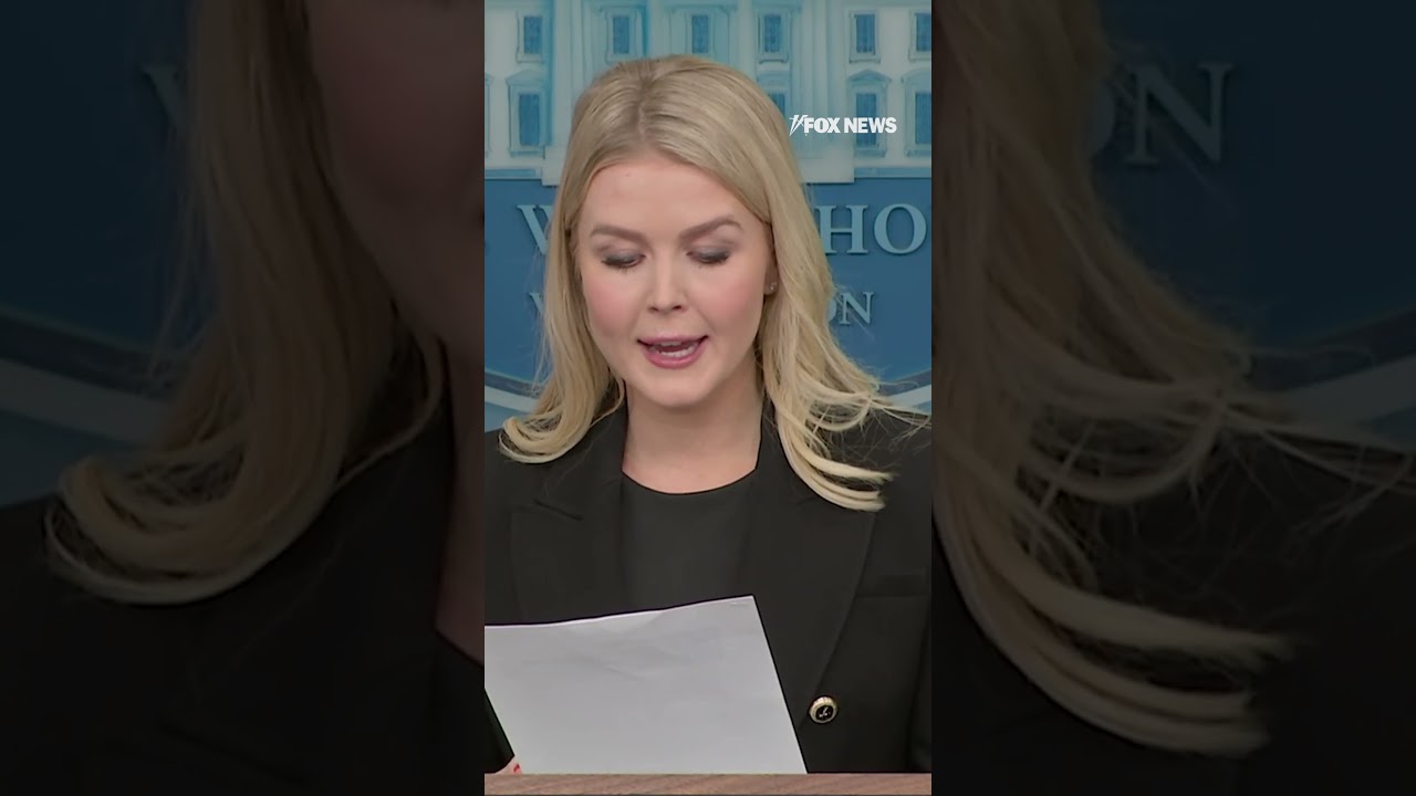 White House Press Secretary torches Dems 'outraged' by spending cuts