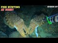 Night spearfishing episode 107  fish hunting at night