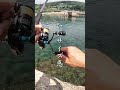 エギングが絶好調のシーズンになってきましたね #shorts #エギング #釣り