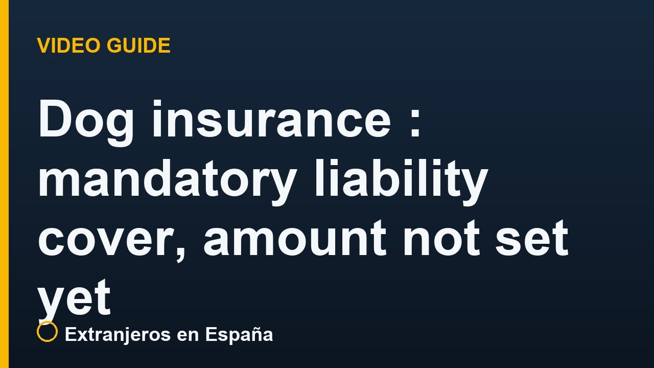Dog insurance in Spain: mandatory liability cover, amount not set yet
