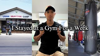 Living at a Muay Thai Gym vs Living Nearby   A Beginner's Perspective