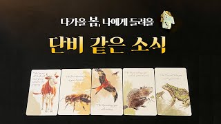 [타로] 지금 당신에게 보이는 미래이야기  