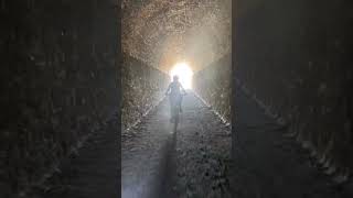 Day 17 - Random Spot To Alexandra