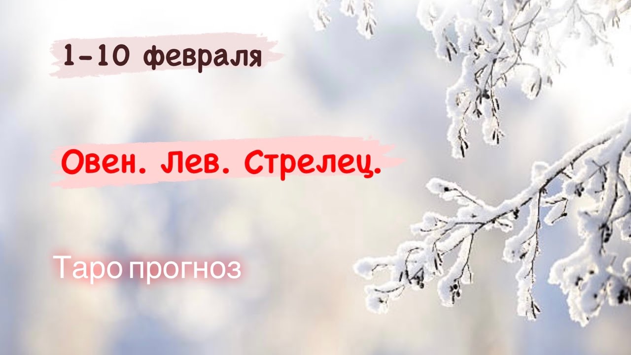 10 Февраля.