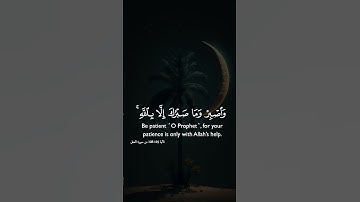 القرآن الكريم 🌴 استغفر الله العظيم واتوب إليه #اكسبلور