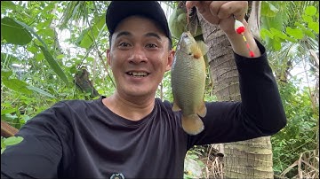 Câu Cá Rô Đồng-Cái Lổ Đơn Giản Vậy Mà Có Cá Nái Ở Nè / lãng tử miền tây T29